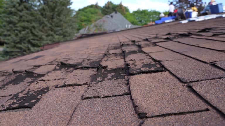 Best Green or Eco-Friendly Roofing Solutions  in Nedrow, NY