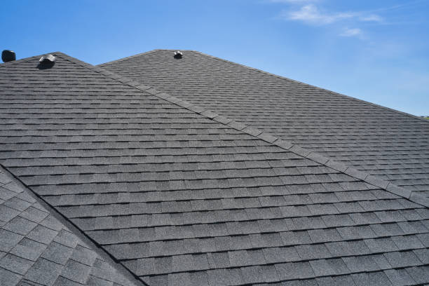 Best Skylight Installation and Repair  in Nedrow, NY